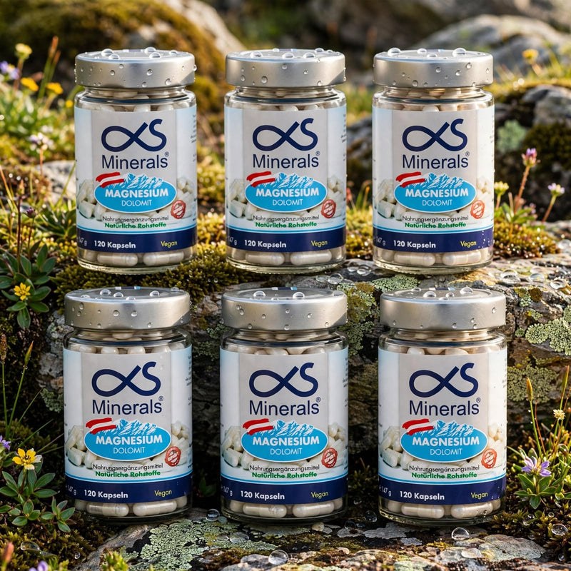 Vorteilspack: 6x Magnesium Austria 120St – AlphaS Minerals Produktbild